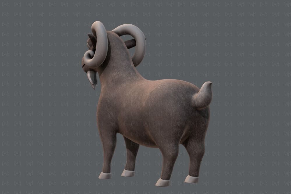 Sheep V01 Low-poly 3D model_6