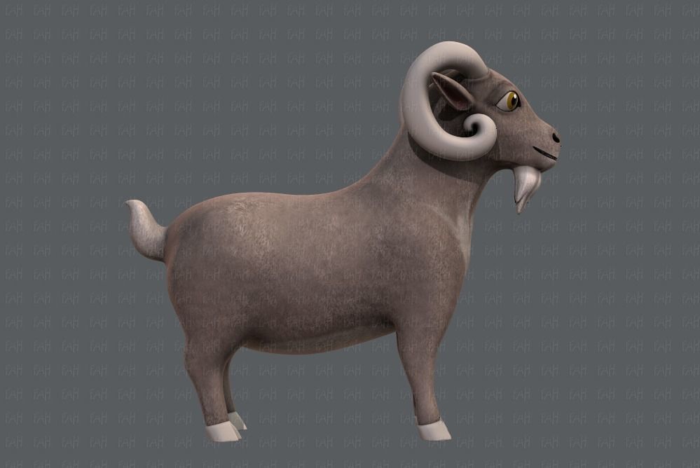 Sheep V01 Low-poly 3D model_3