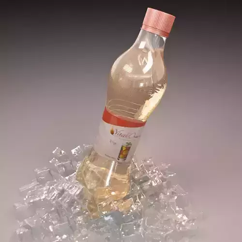 Bottle with ice 3D model