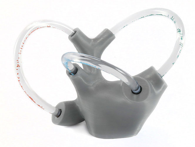 Fluid-Filled Vestibular Apparatus for Vertigo Education Free 3D print model