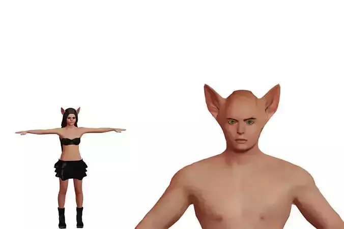 Couple-2 woman in outfit with cat ears