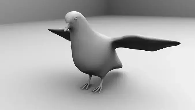 Dove Pigeon