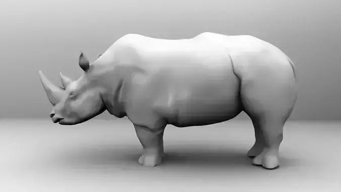 Rhino rhinoceros