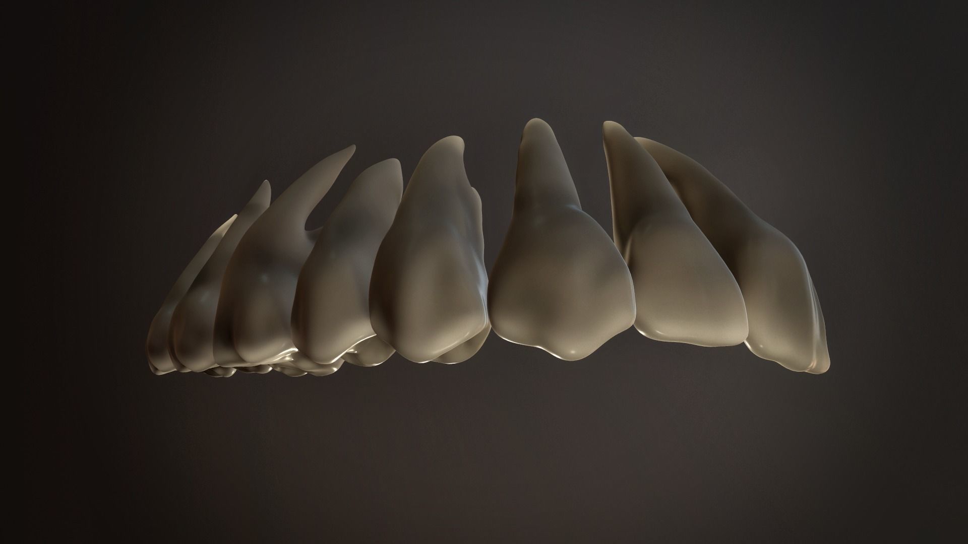 Teeth Pack Low-poly 3D model_12