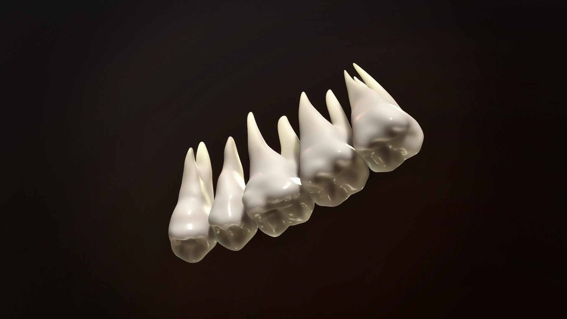 Teeth Pack Low-poly 3D model_6