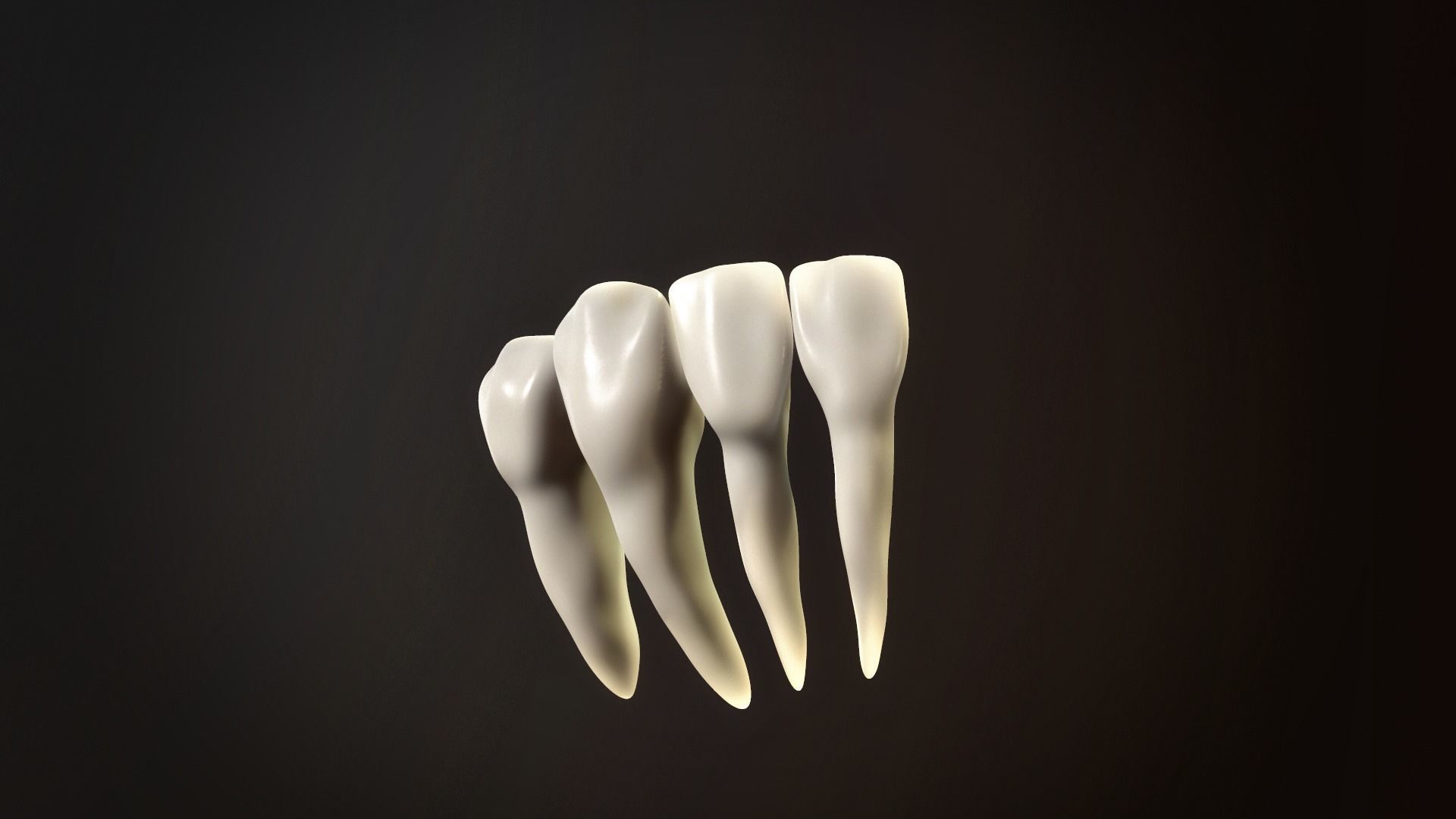 Teeth Pack Low-poly 3D model_7