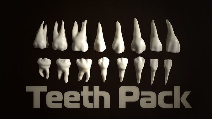 Teeth Pack Low-poly 3D model