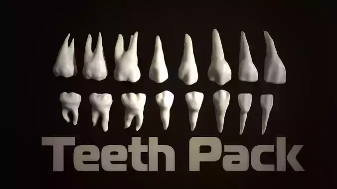 Teeth Pack Low-poly 3D model