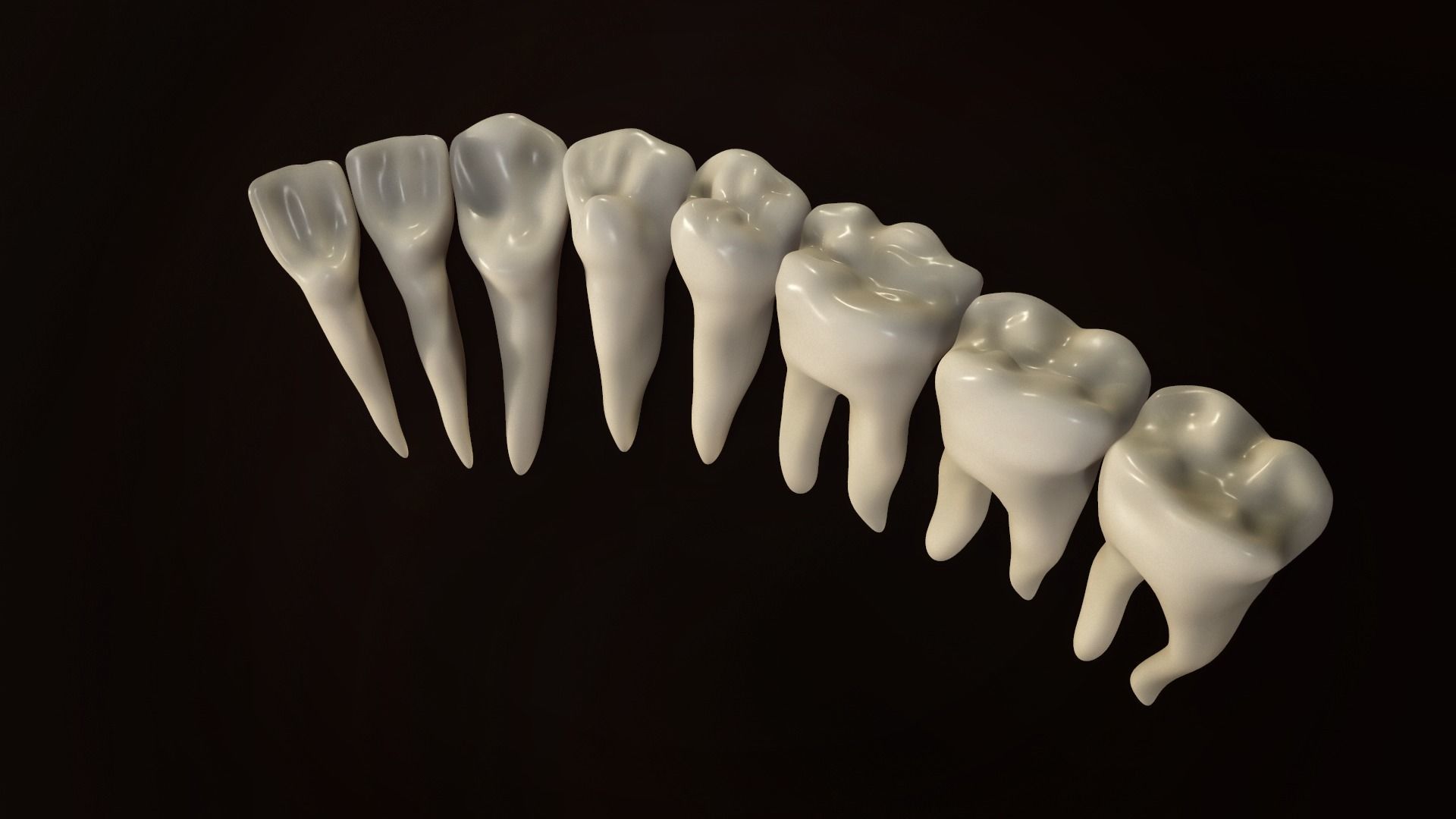 Teeth Pack Low-poly 3D model_13