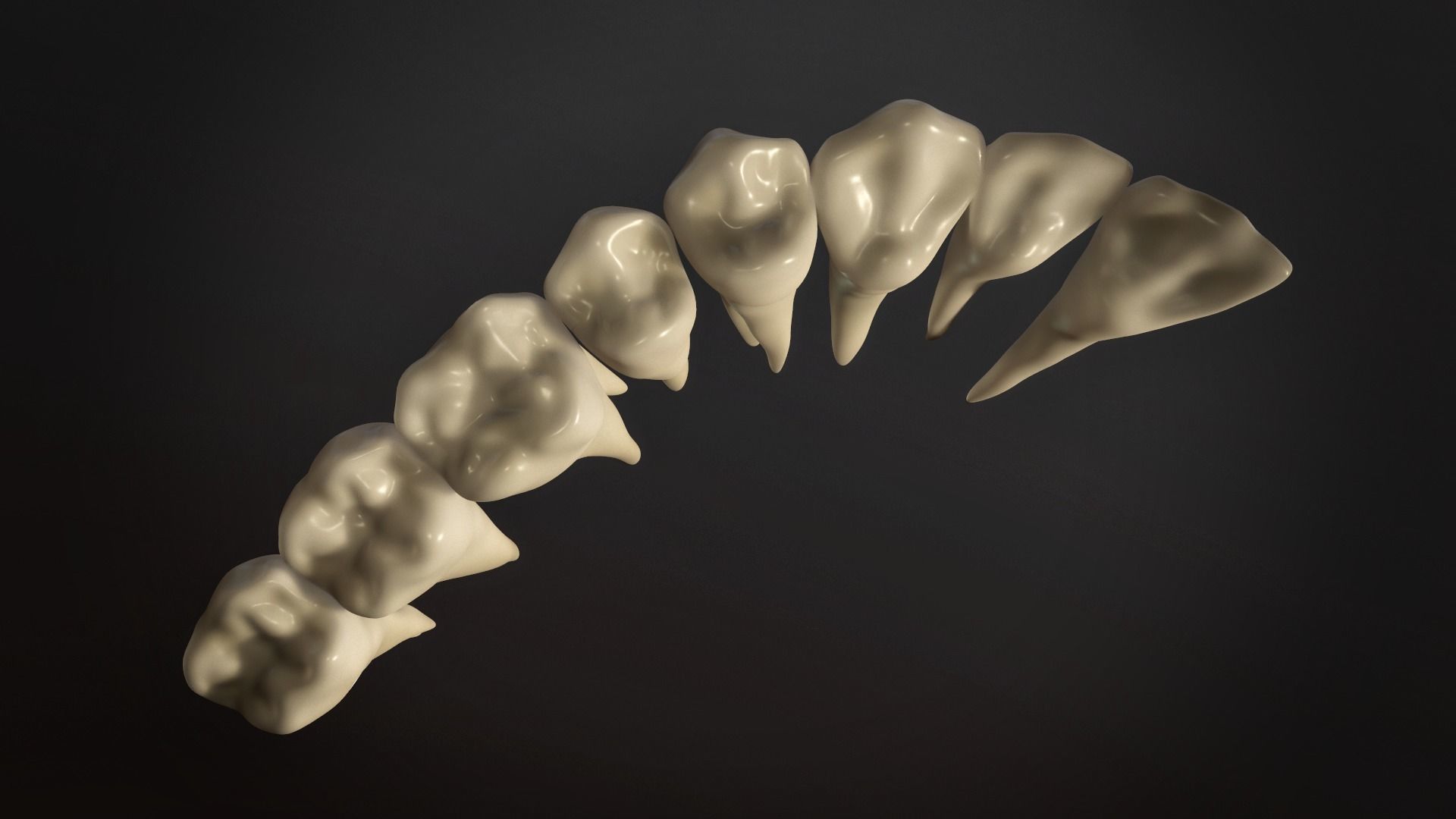 Teeth Pack Low-poly 3D model_11
