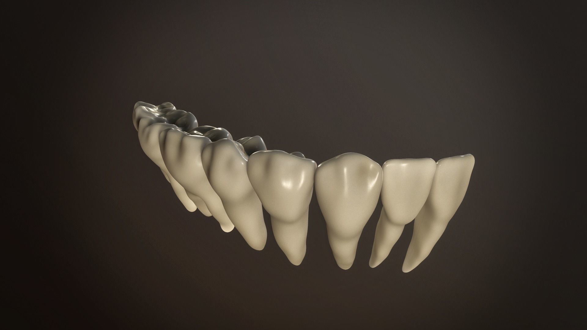 Teeth Pack Low-poly 3D model_14
