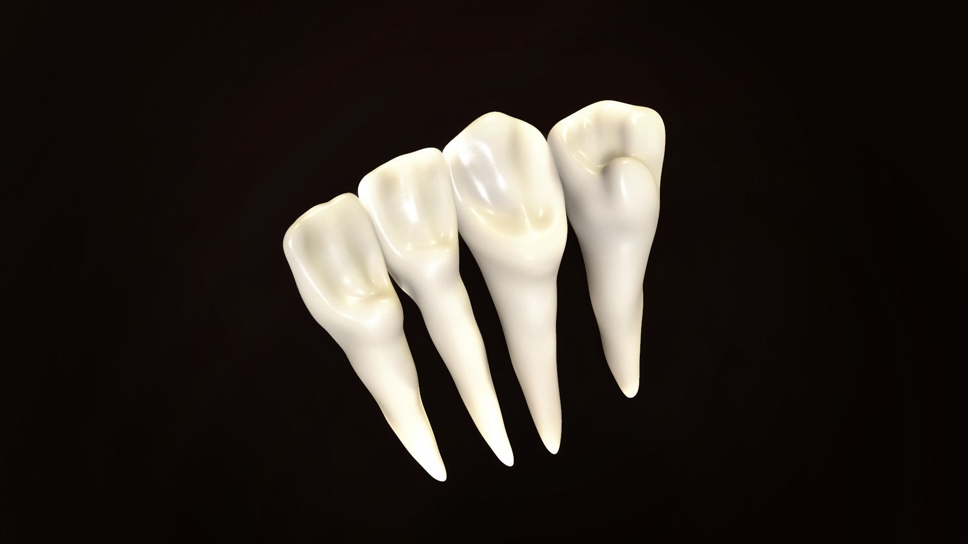 Teeth Pack Low-poly 3D model_8
