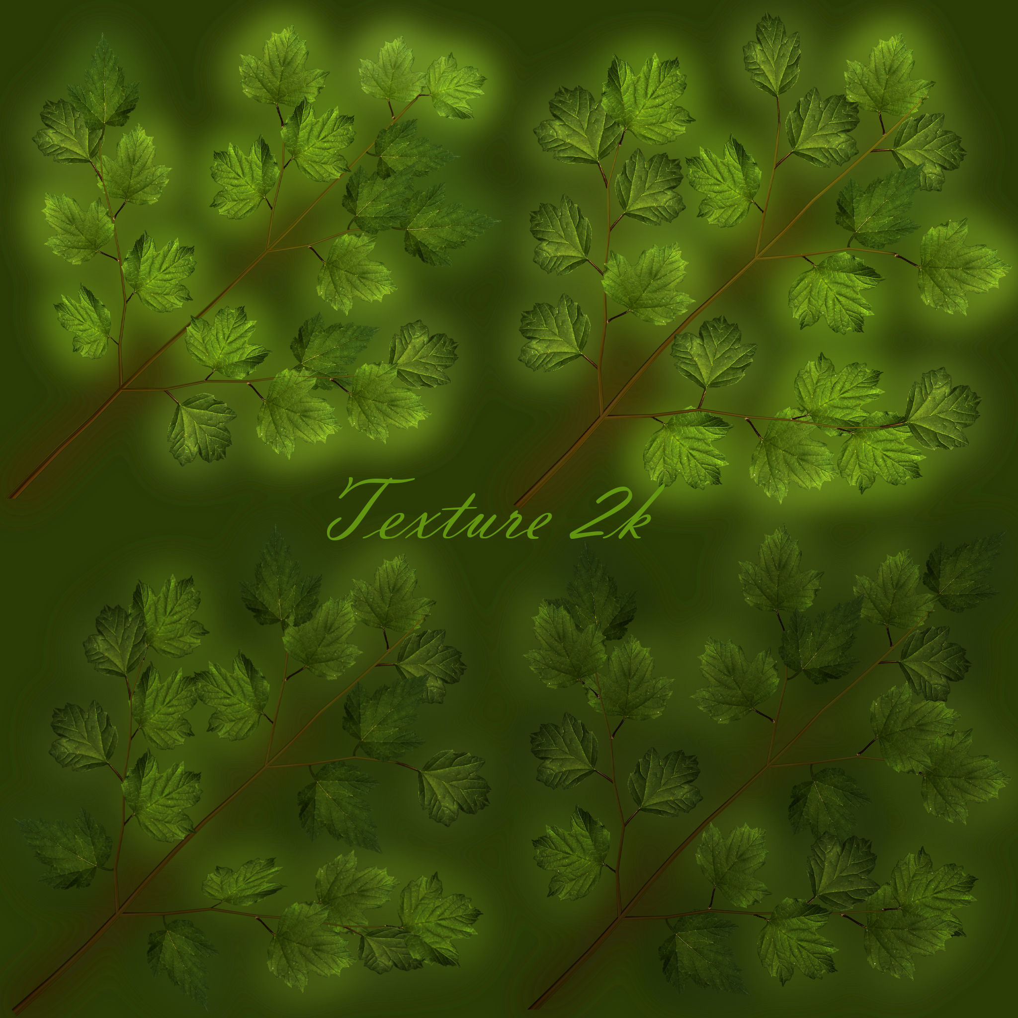 Viburnum  Kalina Buldenezh 3D model_8