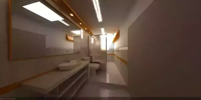 long bathroom design