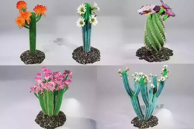 Cactus collection with flowers 3D model