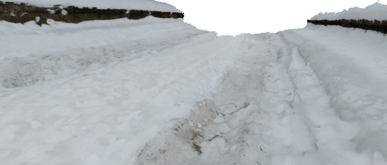 Winter snow wheels traces 3D scan Low-poly 3D model_2