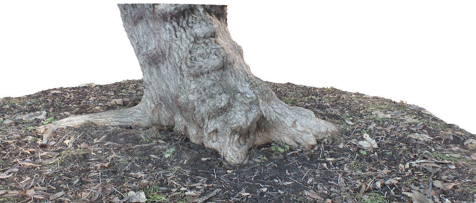 Winter stump 3D scan Low-poly 3D model_2