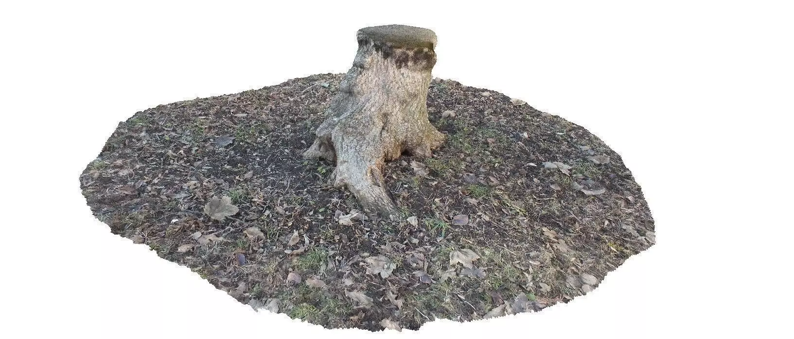 Winter stump 3D scan Low-poly 3D model_0