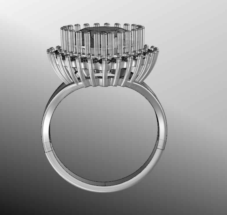 Ring dp 30 3D print model_15
