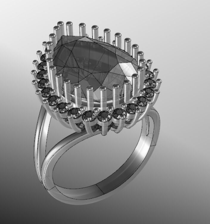 Ring dp 30 3D print model_13