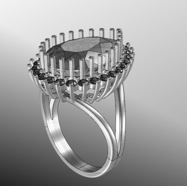 Ring dp 30 3D print model_16