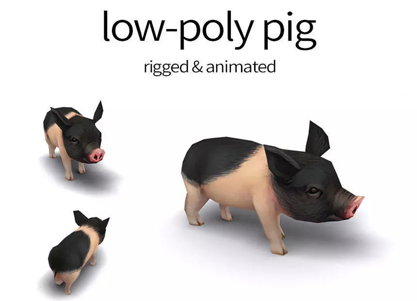 pig pet pig swine hog hoggery Low-poly 3D model_0