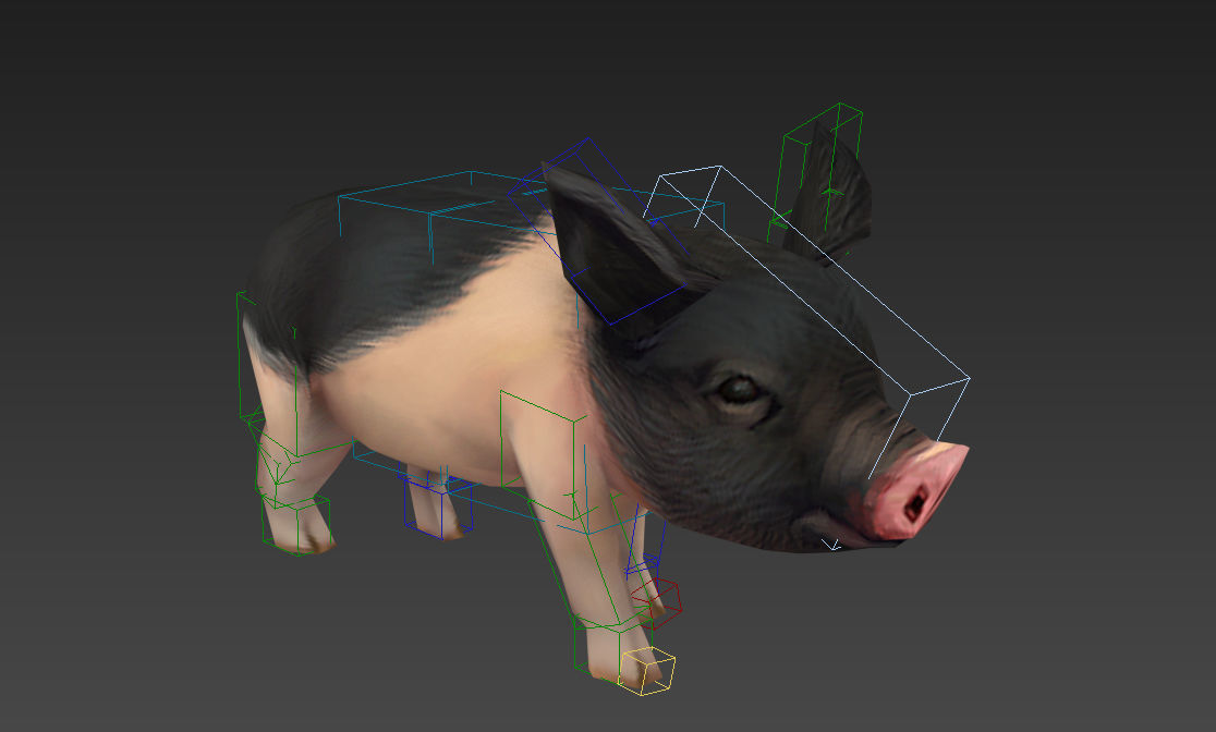pig pet pig swine hog hoggery Low-poly 3D model_9