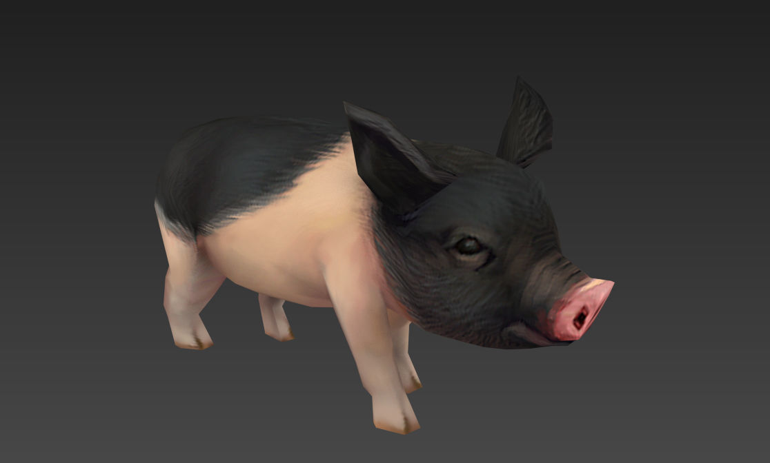 pig pet pig swine hog hoggery Low-poly 3D model_7