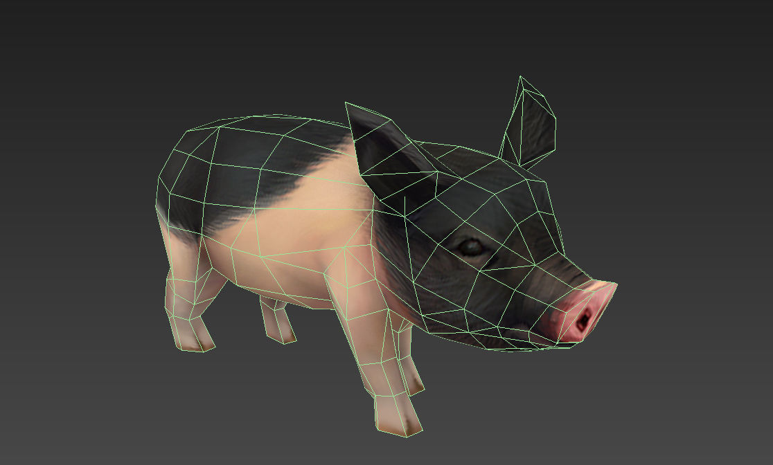 pig pet pig swine hog hoggery Low-poly 3D model_8