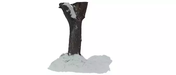 Winter tree trunk 3D scan Low-poly 3D model