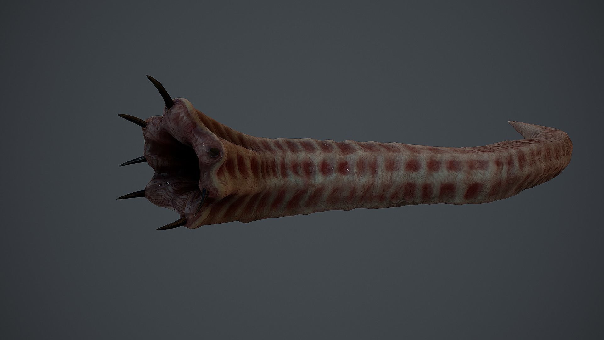 Creepy Flesh worm Animated PBR Low-poly 3D model_4