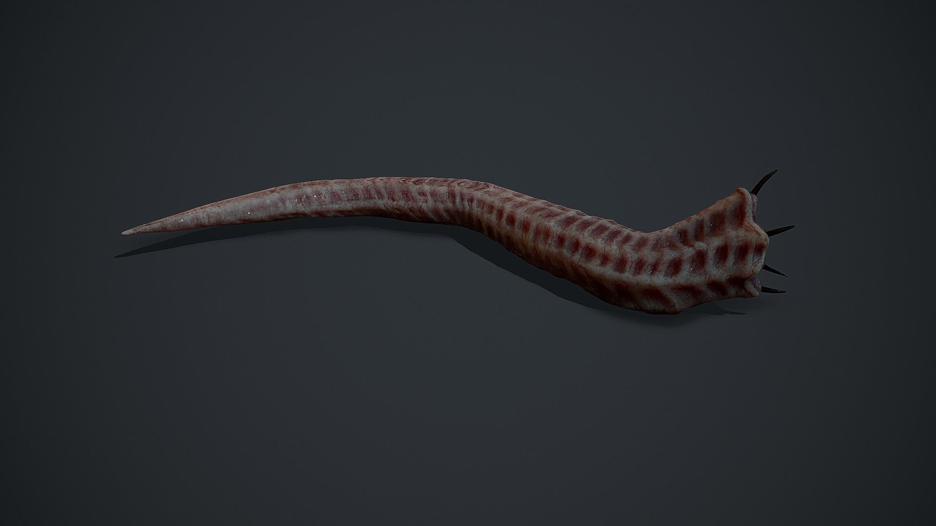 Creepy Flesh worm Animated PBR Low-poly 3D model_6