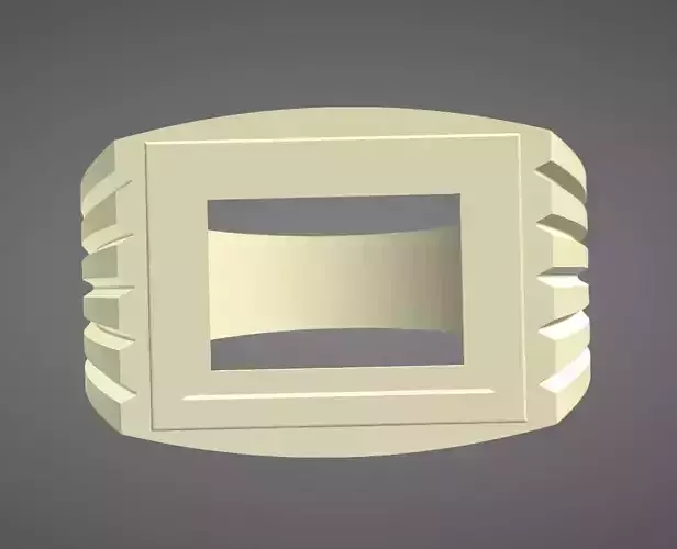 Signer Ring with Gemstone