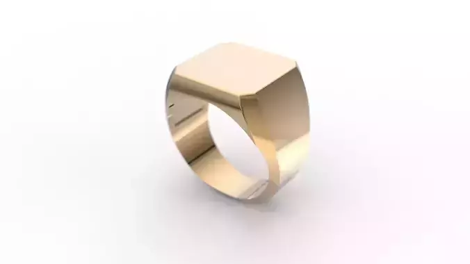 Ring AN octagonal signet in sterling silver