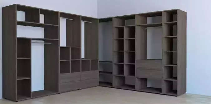 Dressing closet with shelves and drawers