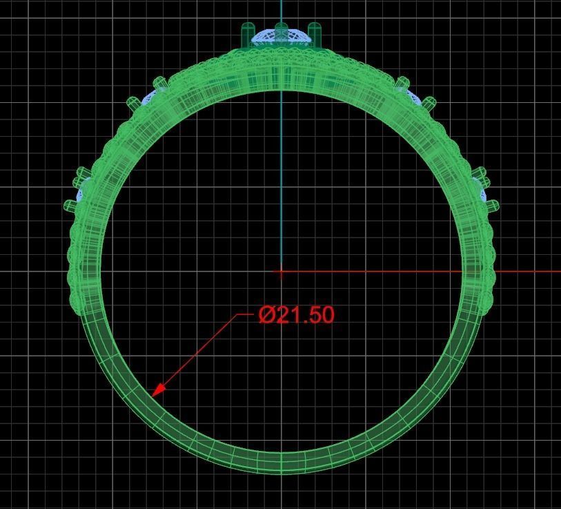 Ring dp 34 3D print model_6