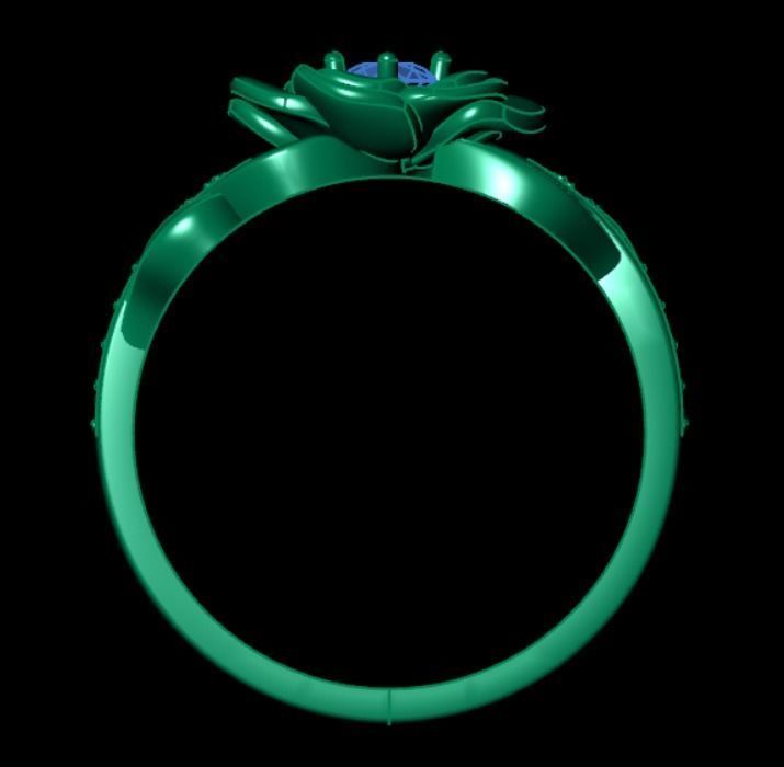 Ring dp 36 3D print model_7