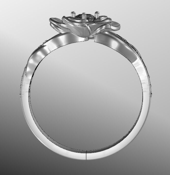 Ring dp 36 3D print model_17