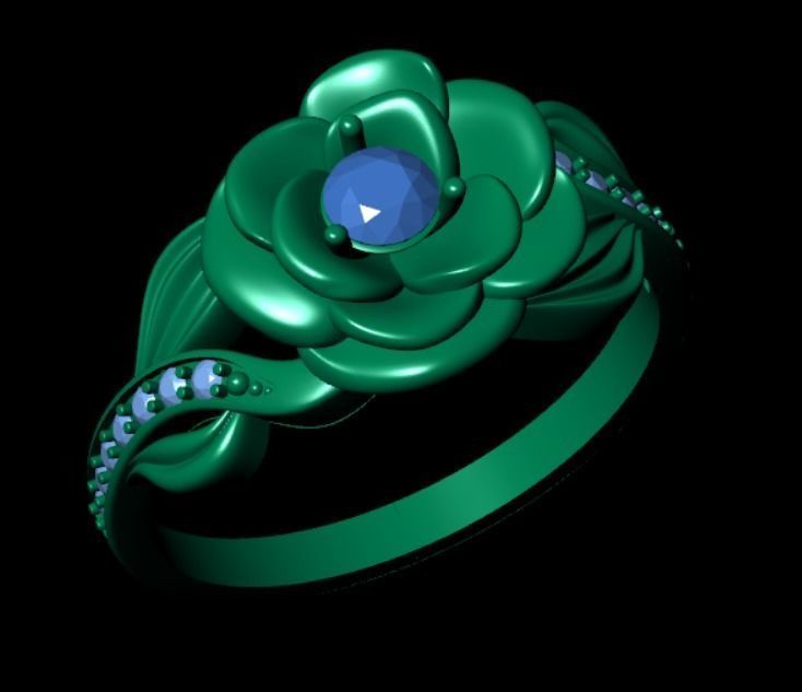 Ring dp 36 3D print model_13