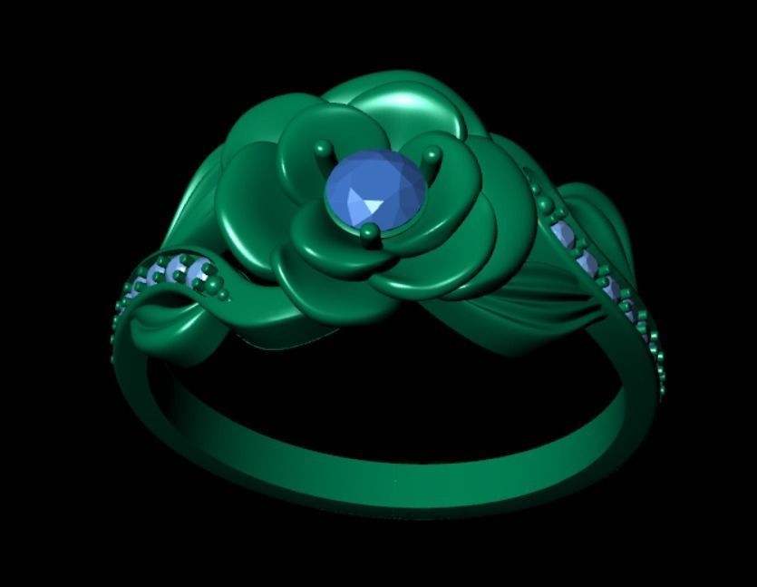 Ring dp 36 3D print model_11