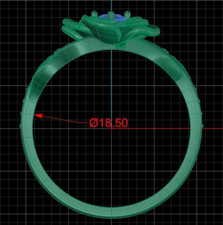 Ring dp 36 3D print model_6