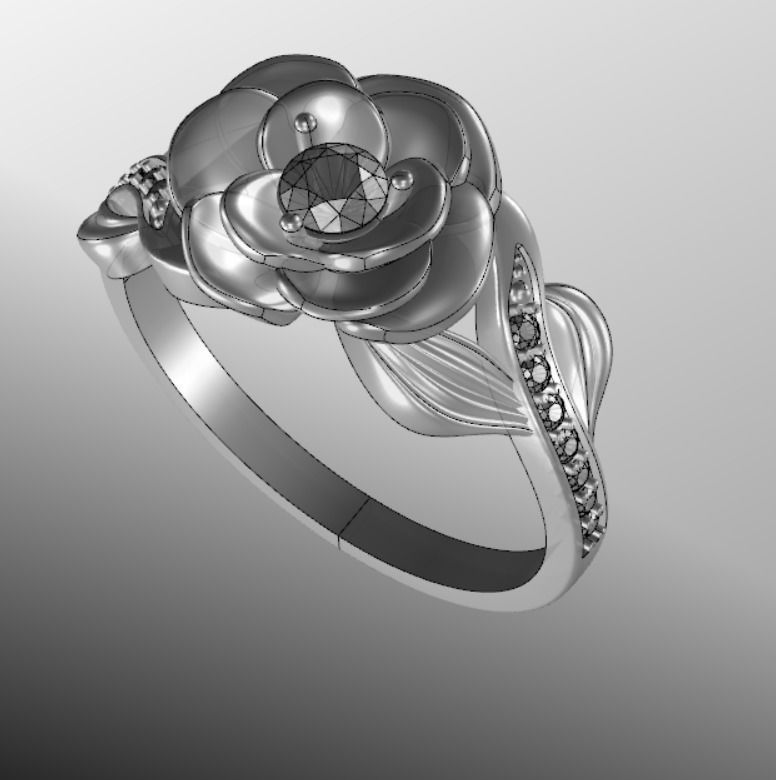 Ring dp 36 3D print model_19