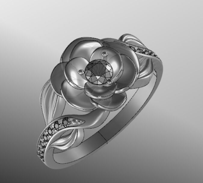 Ring dp 36 3D print model_18
