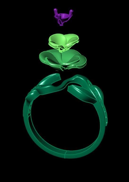 Ring dp 36 3D print model_8