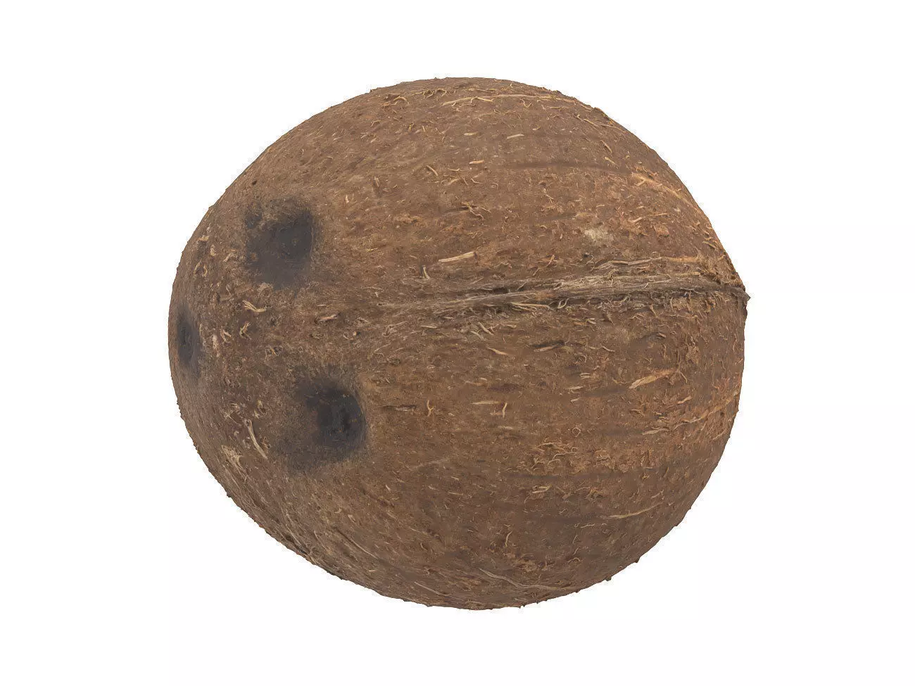 Photorealistic Coconut 3D Scan 3D model_0