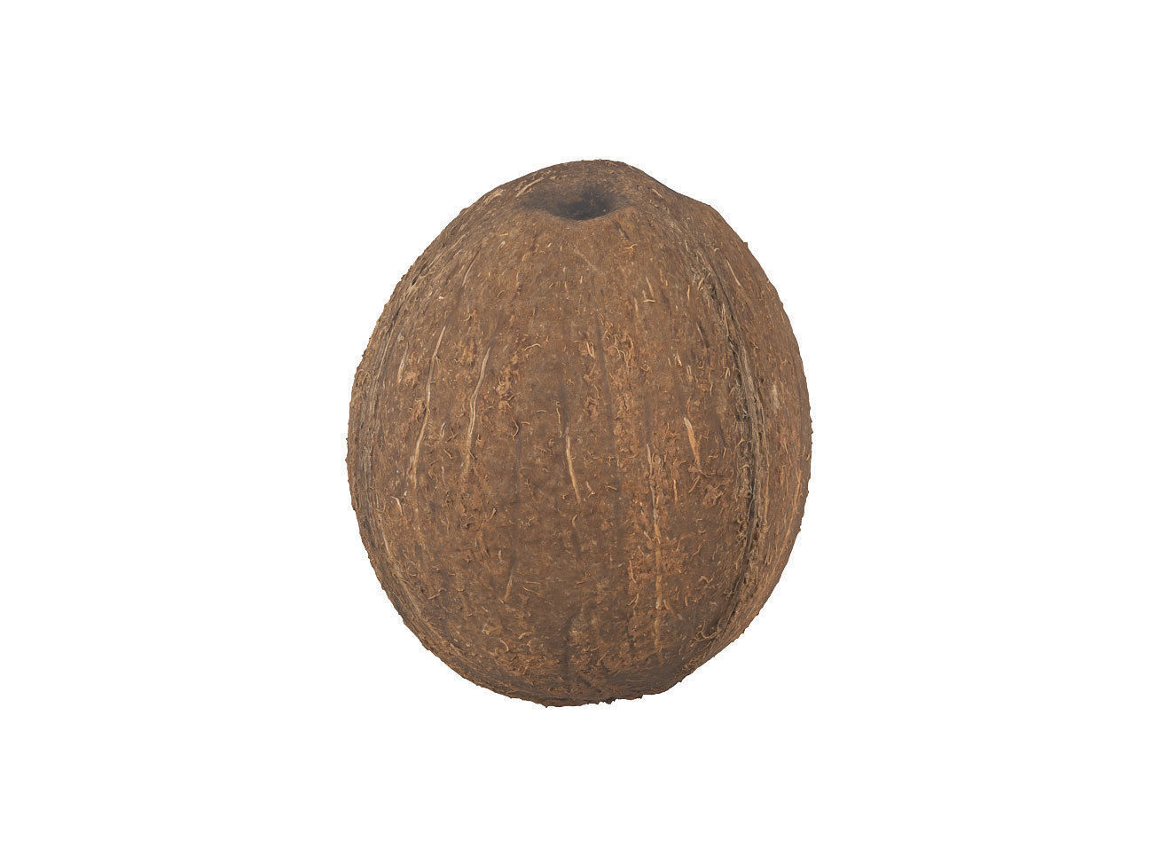 Photorealistic Coconut 3D Scan 3D model_3