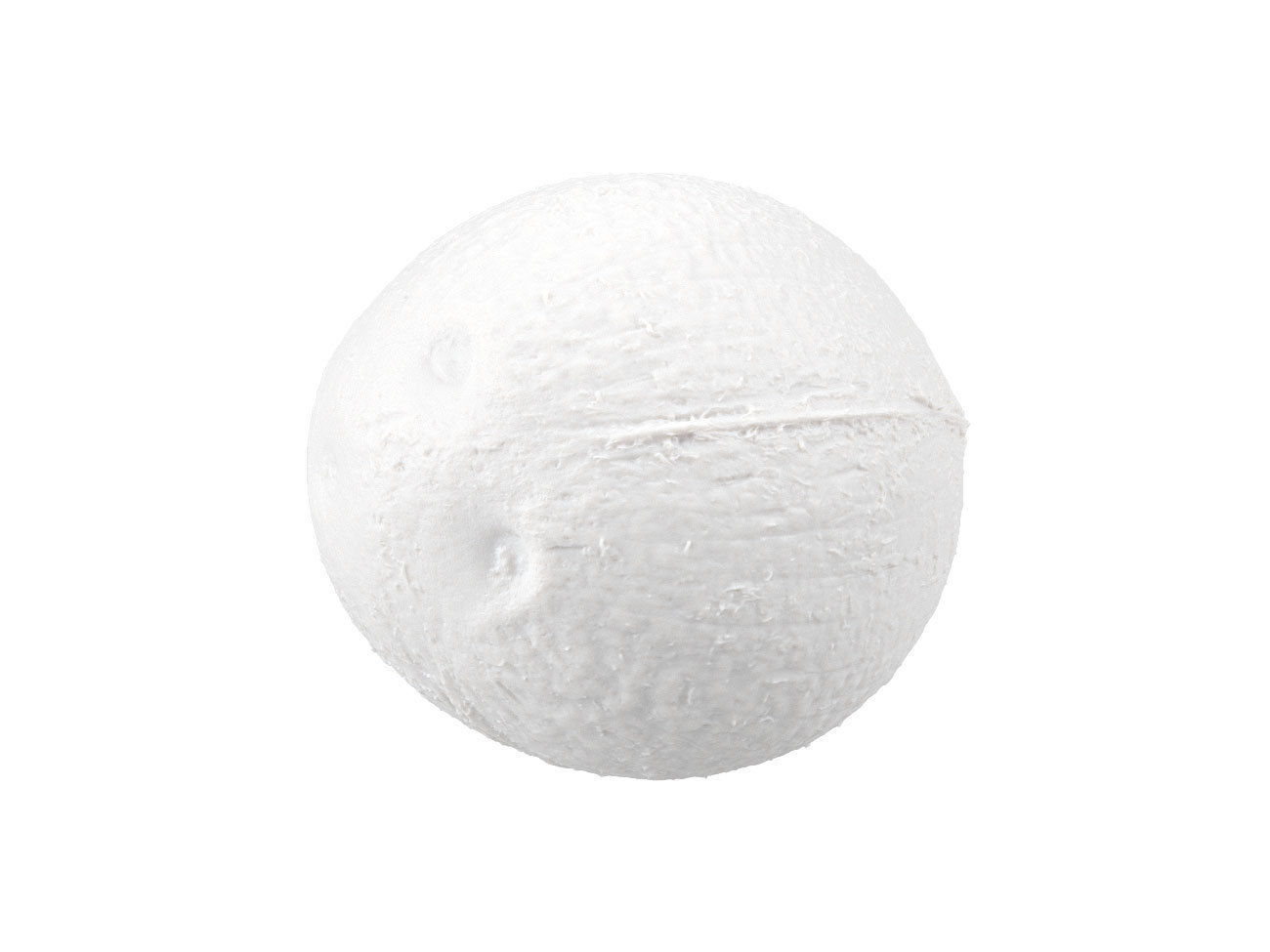 Photorealistic Coconut 3D Scan 3D model_6