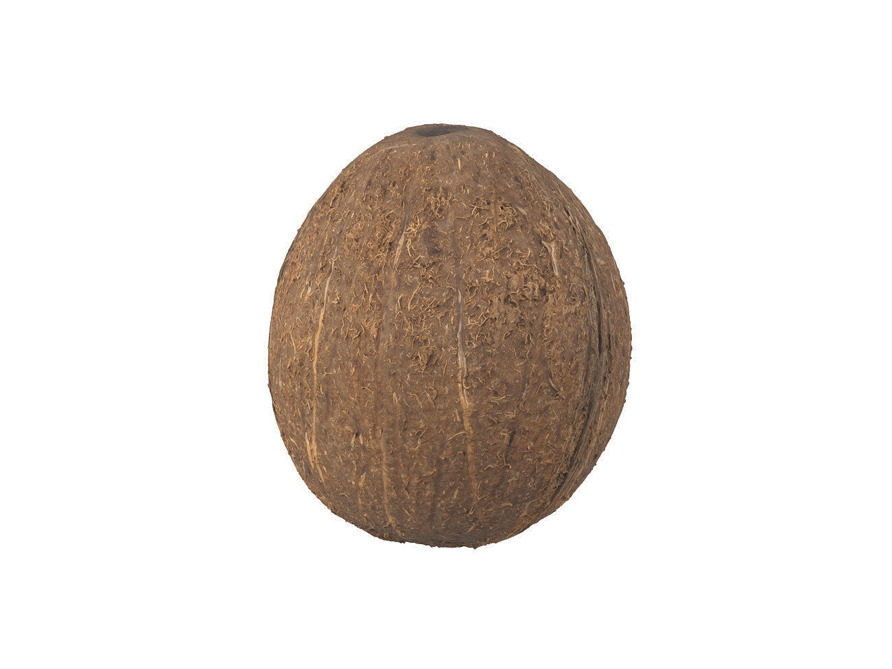 Photorealistic Coconut 3D Scan 3D model_2