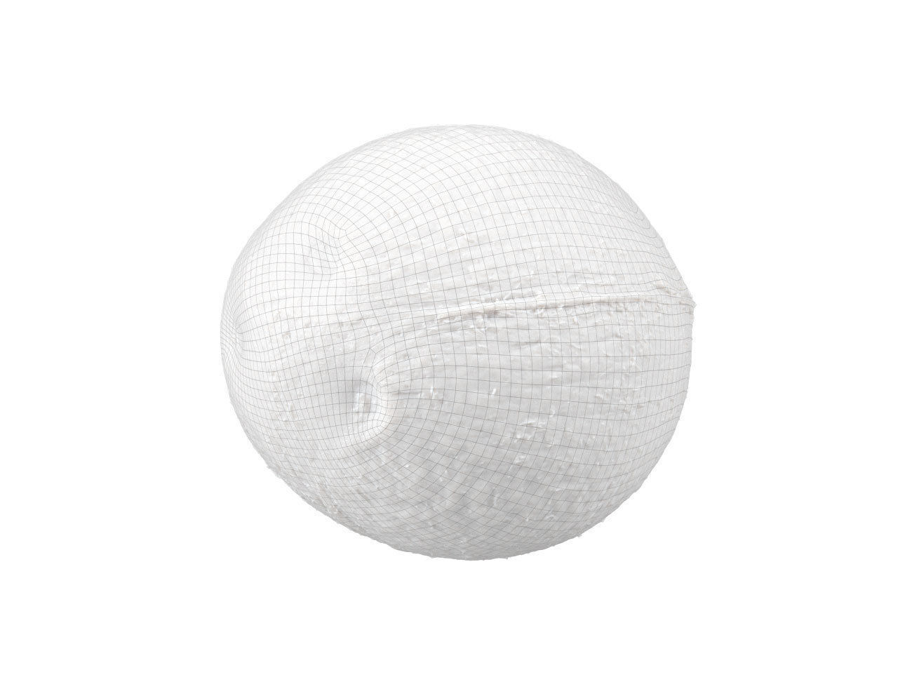 Photorealistic Coconut 3D Scan 3D model_7