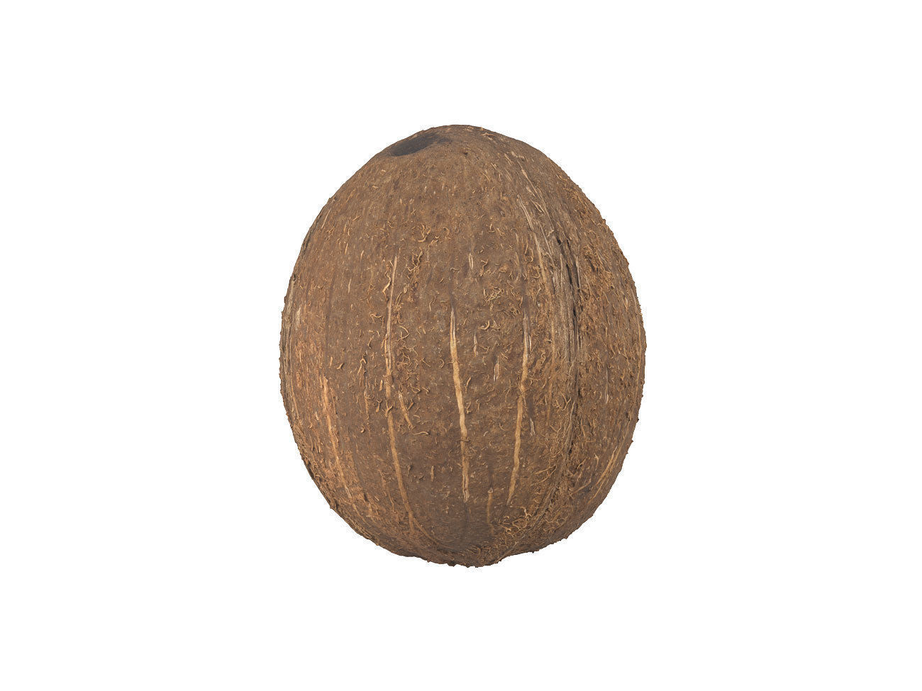 Photorealistic Coconut 3D Scan 3D model_1